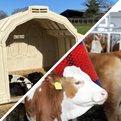 Small Efficiency Welsh Grant 2025
