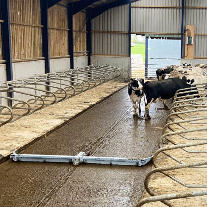 Automatic Manure Scrapers intershape product