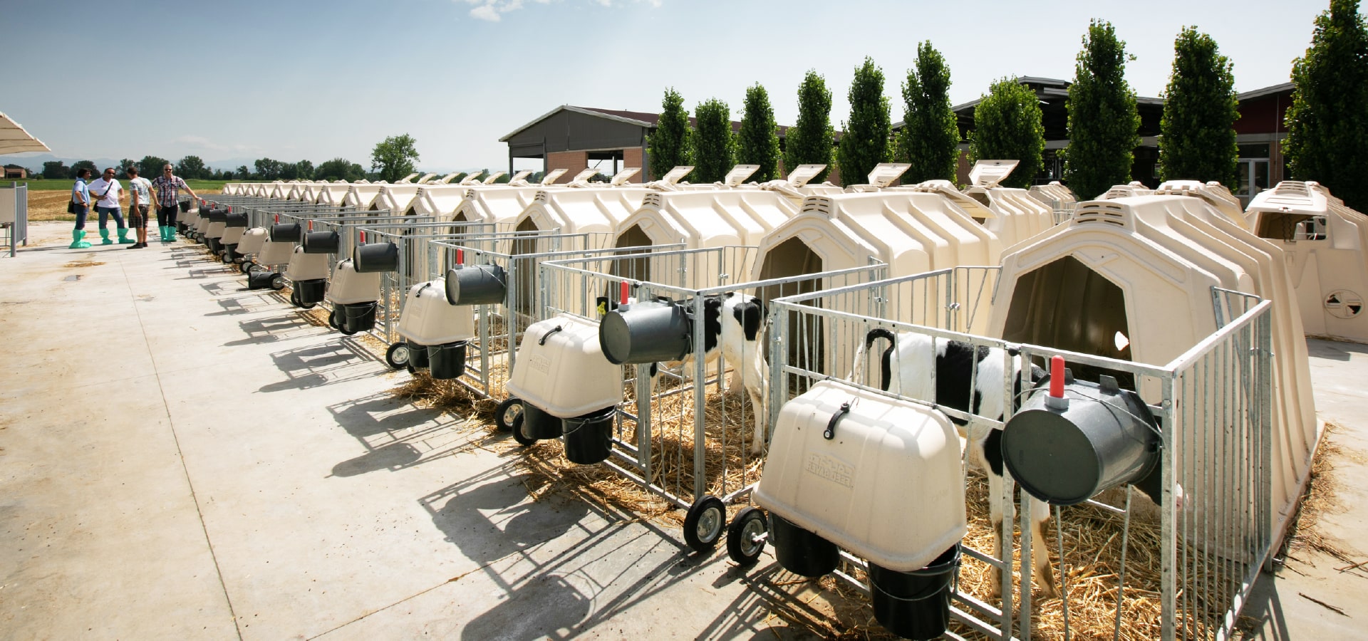 calf-tel hutches