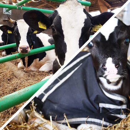 Farming Equipment and Technology Fund 2025