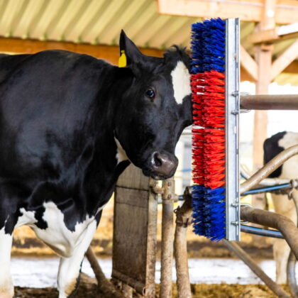 Scratch Brush HAPPY COW intershape