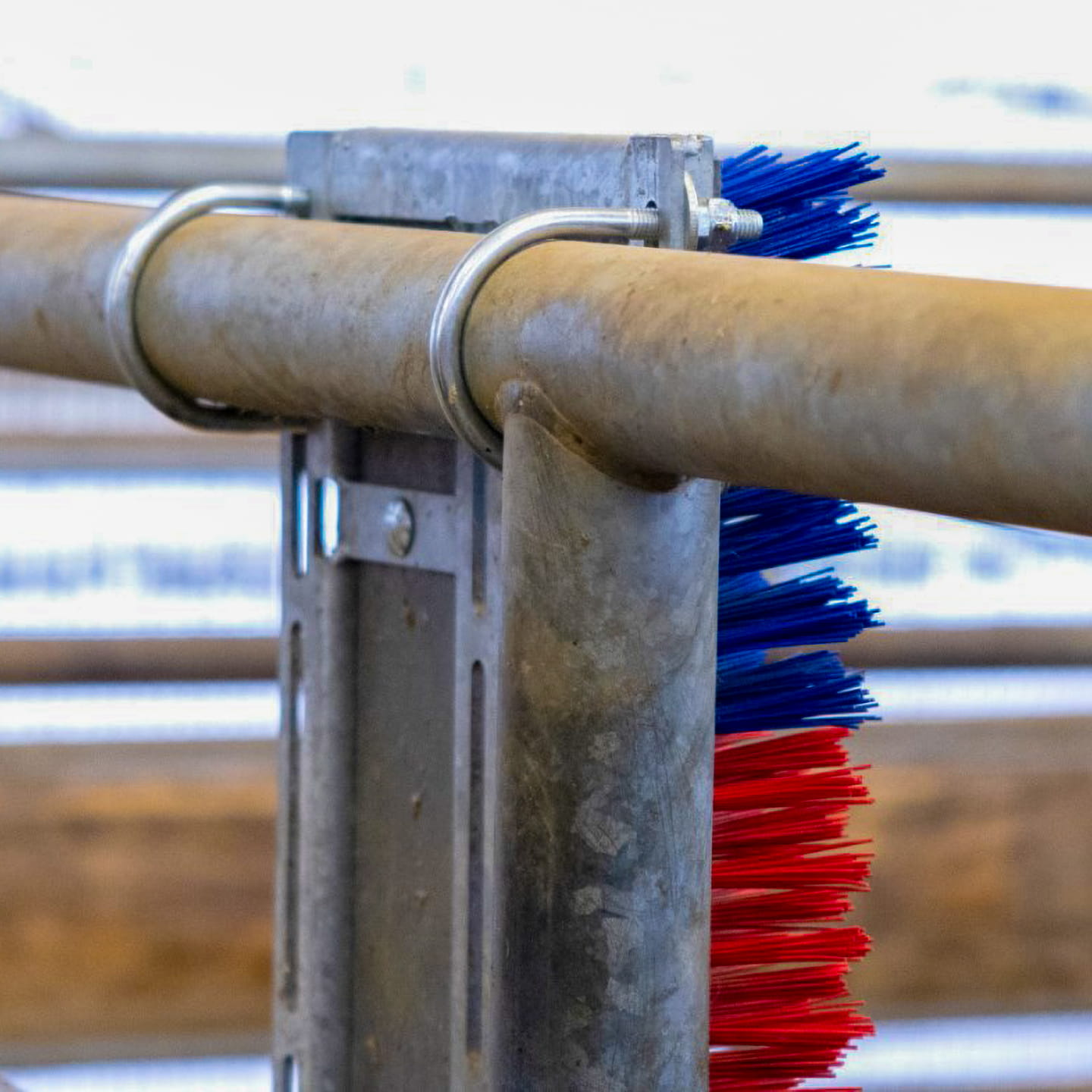 Scratch Brush HAPPYCOW