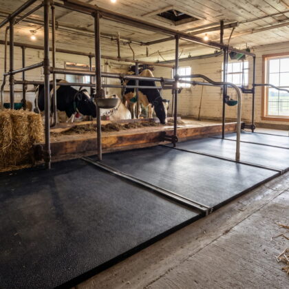 Animat 3 Rubber Mat