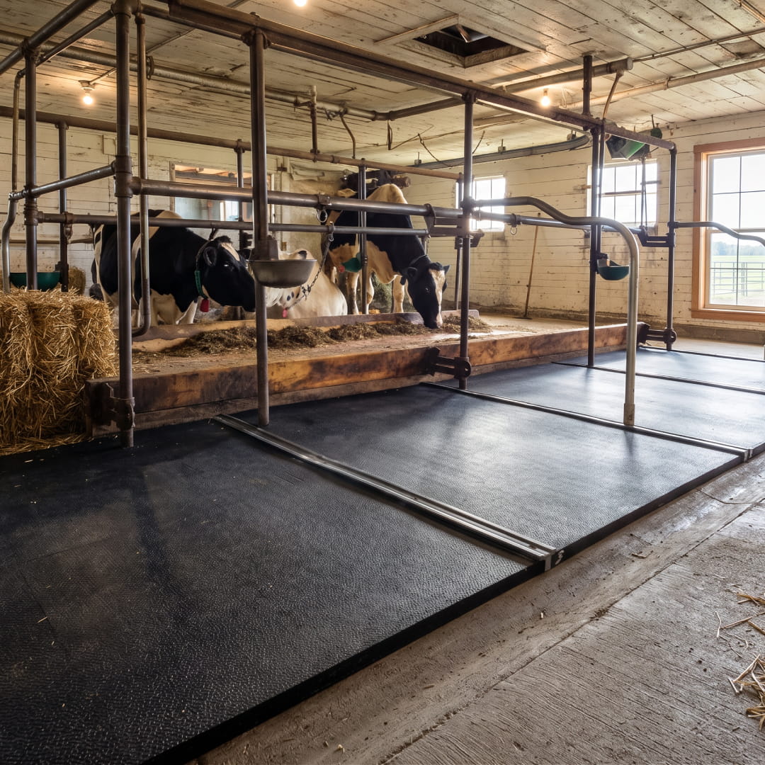Animat 3 Rubber Mat