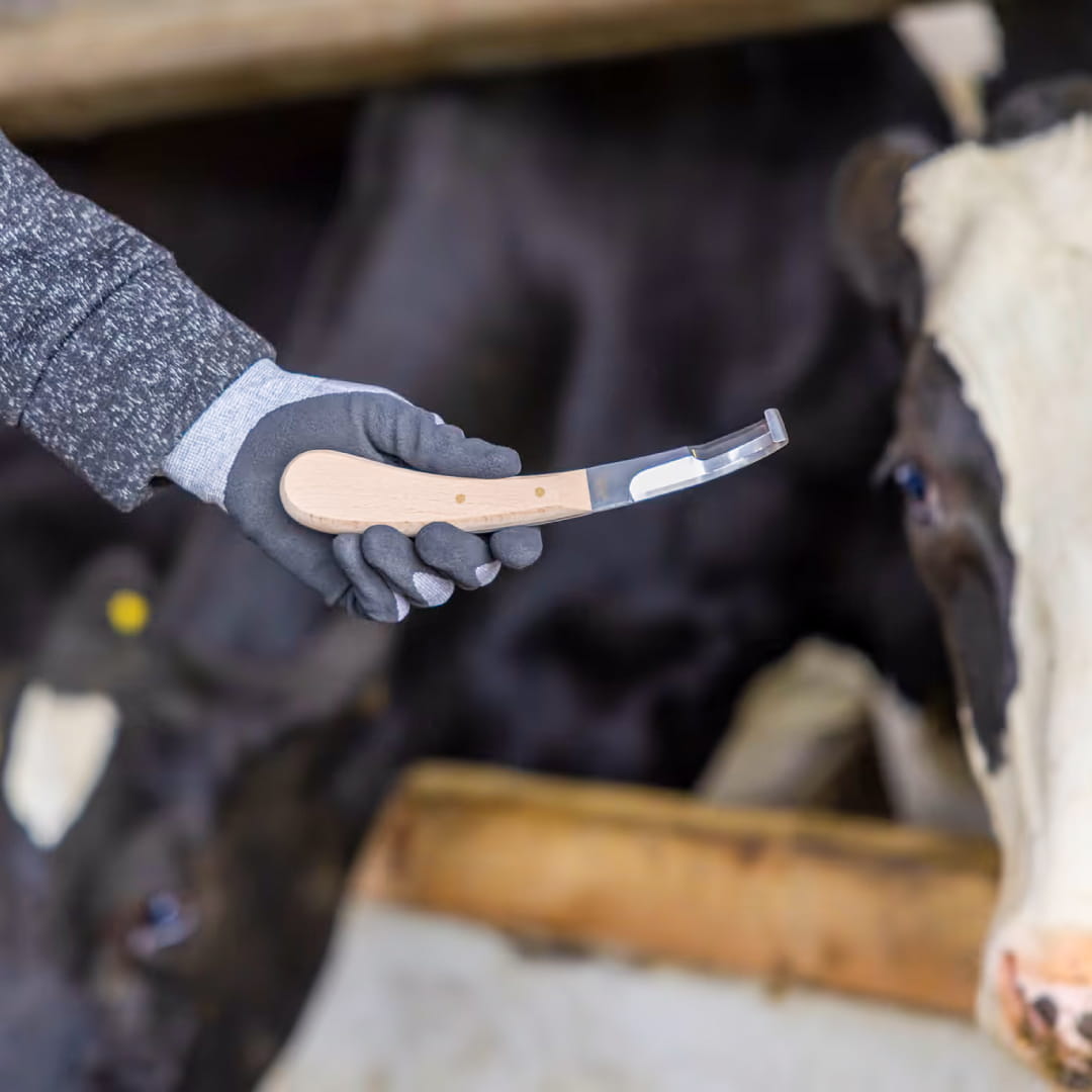 intershape Aesculap Hoof and Claw Knife calves