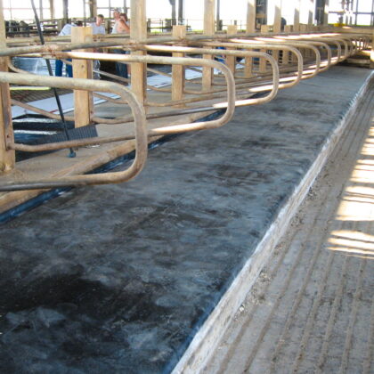 Animat 1, Rubber Mat-Topper intershape