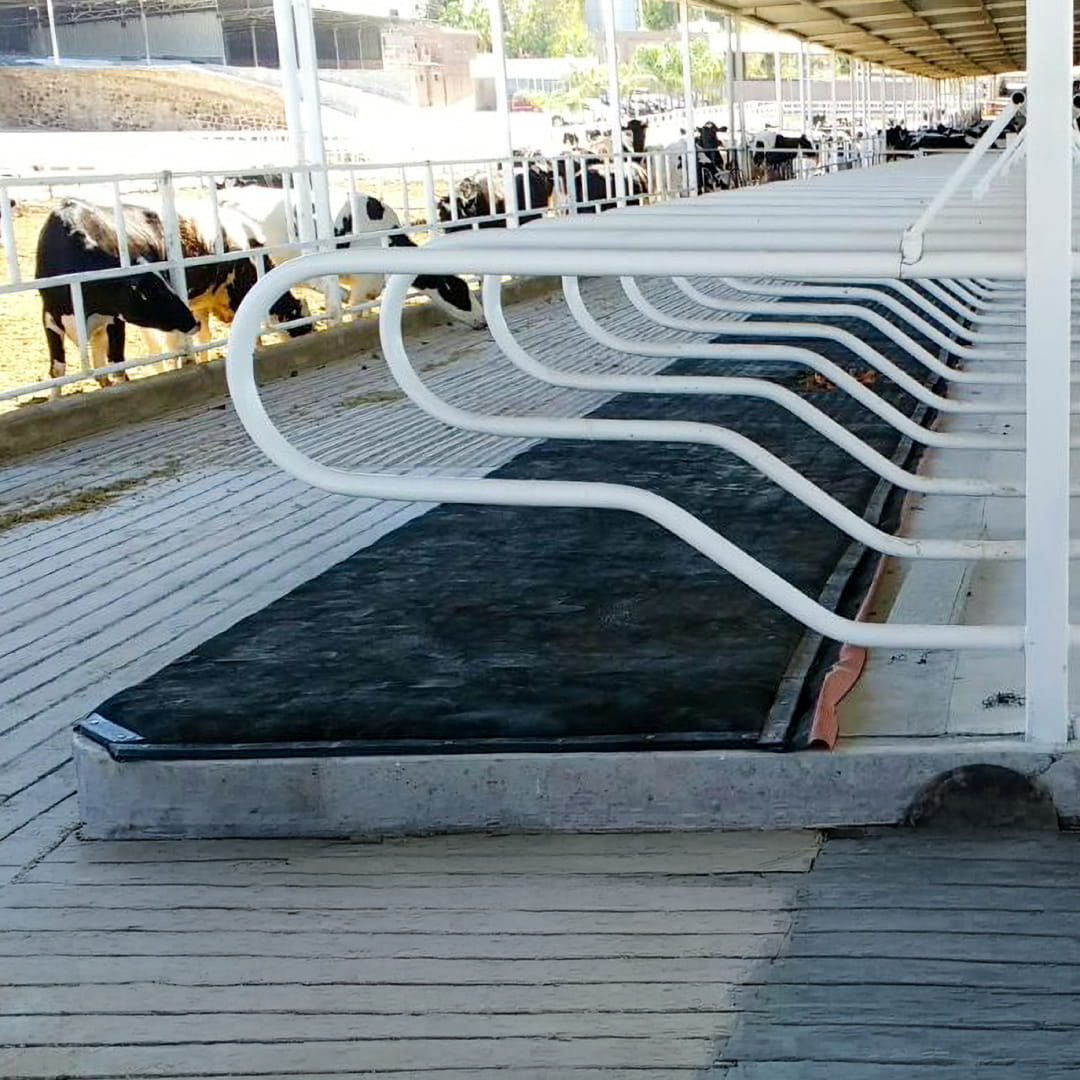 Animat 1, Rubber Mat-Topper