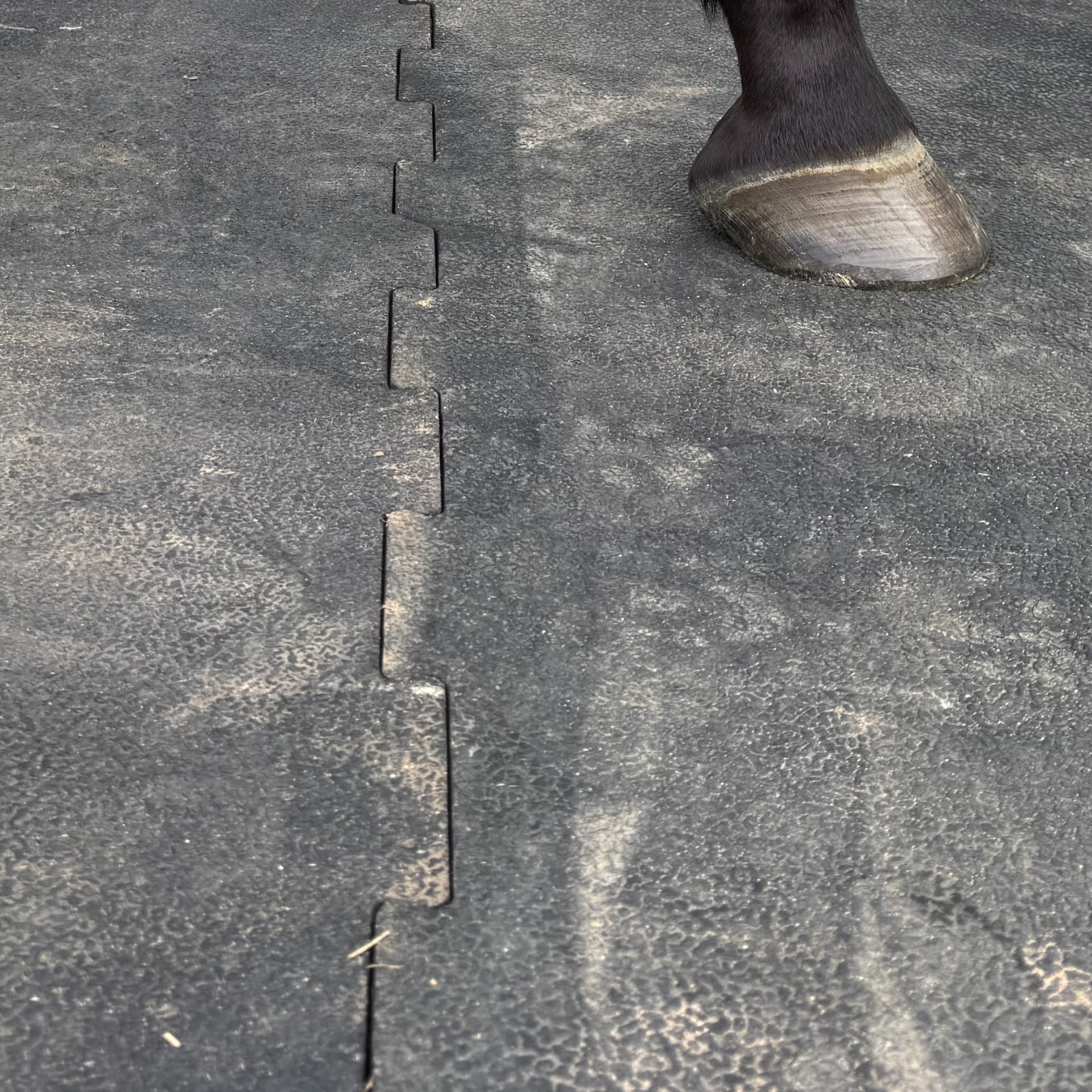 Horse walker mats equine intershape