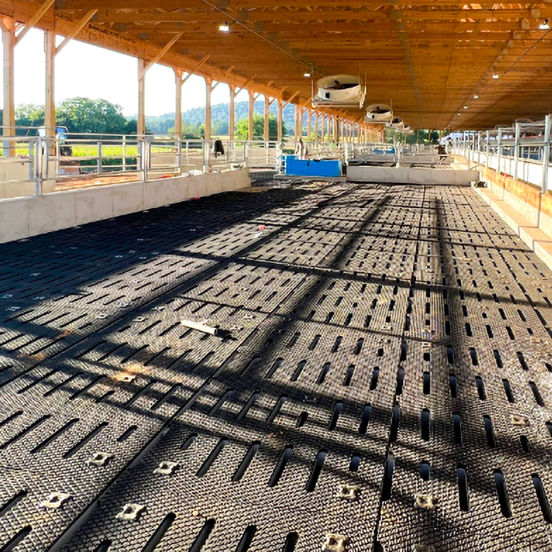 Maxgrip mats for cattle