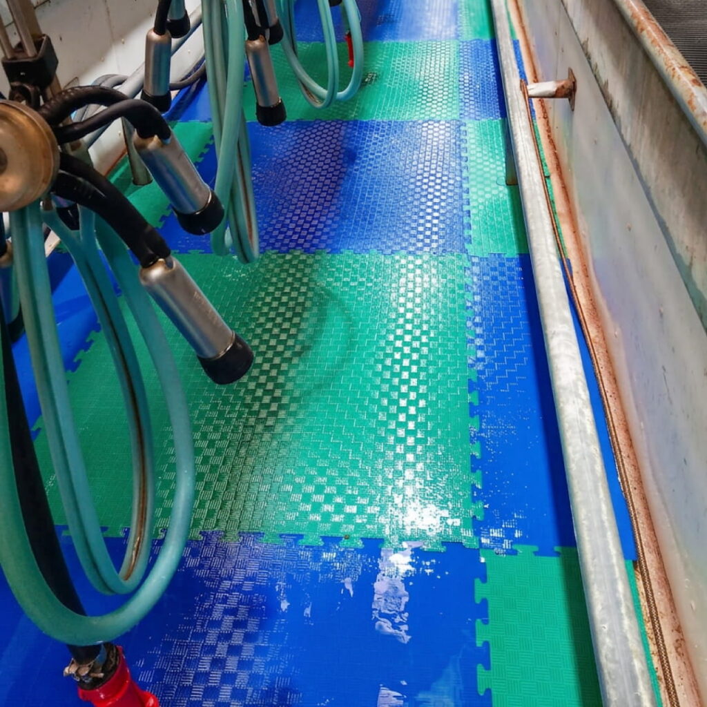 Plantar milking parlour pit mats intershape