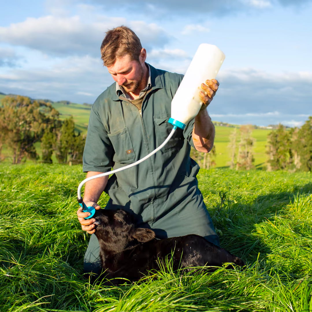 Trusti Calf Drencher calves intershape