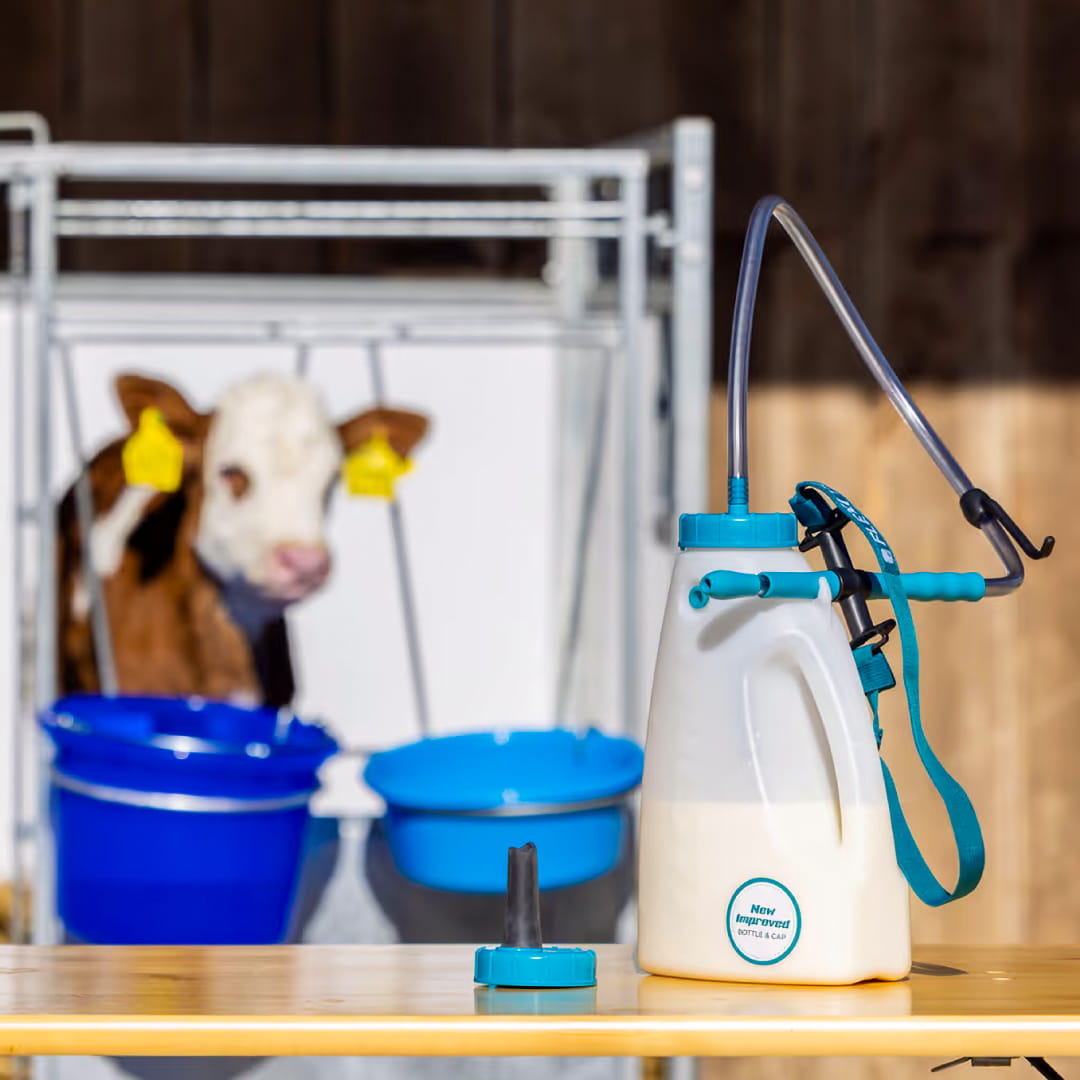 Trusti Calf Drencher cows intershape
