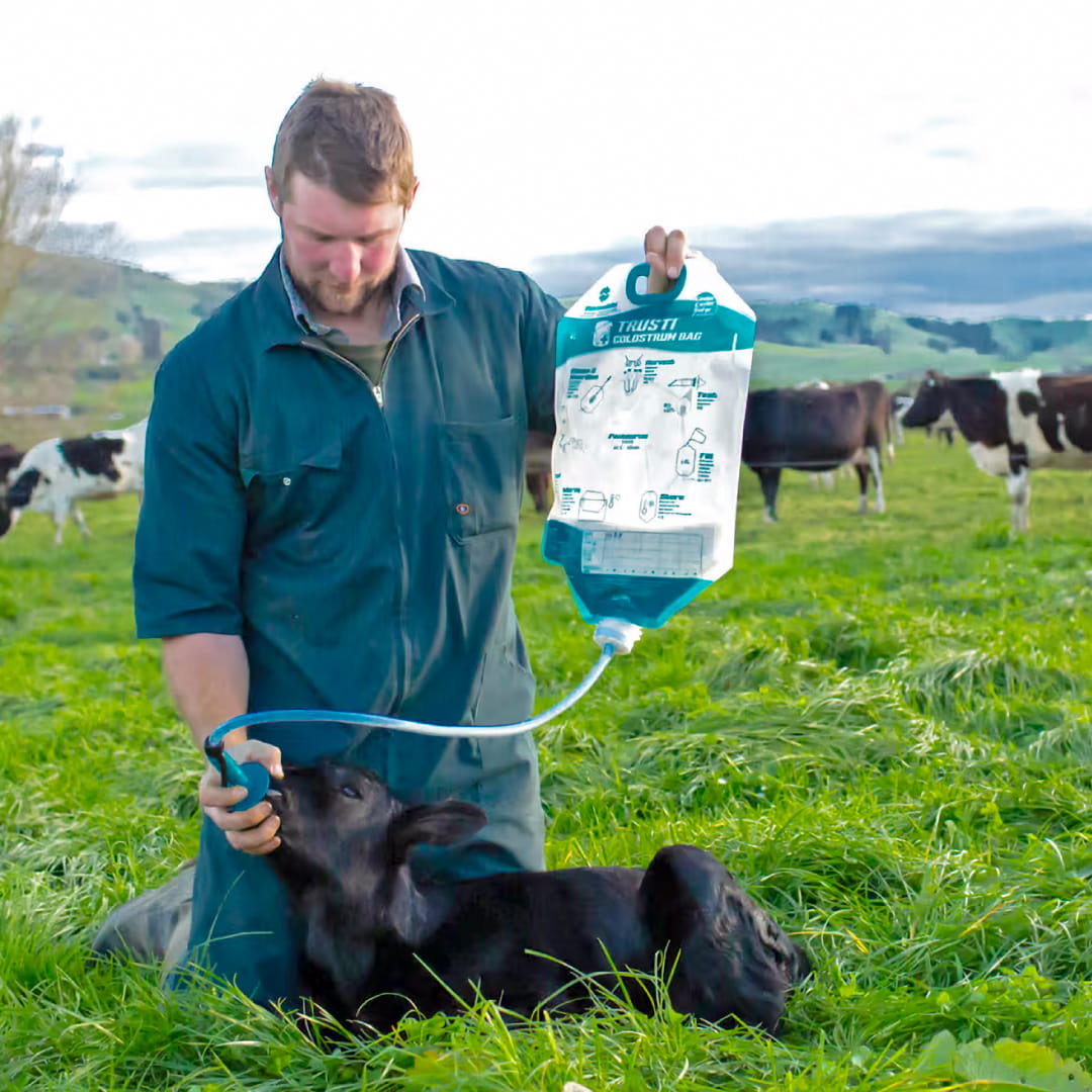 Trusti Colostrum Bags intershape