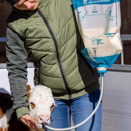 Trusti Colostrum Bags calves intershape