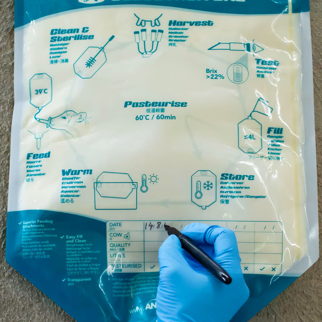 Trusti Colostrum Bags calf