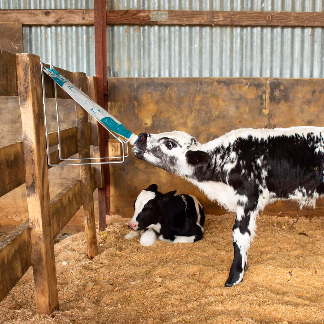 intershape Trusti Colostrum Bags cows