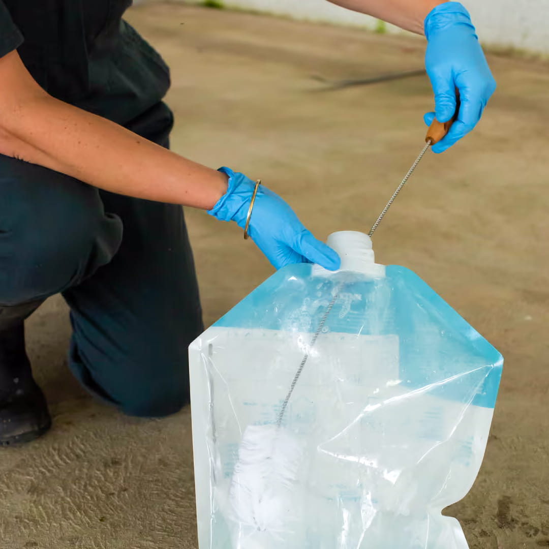 Trusti Colostrum Bags for calves
