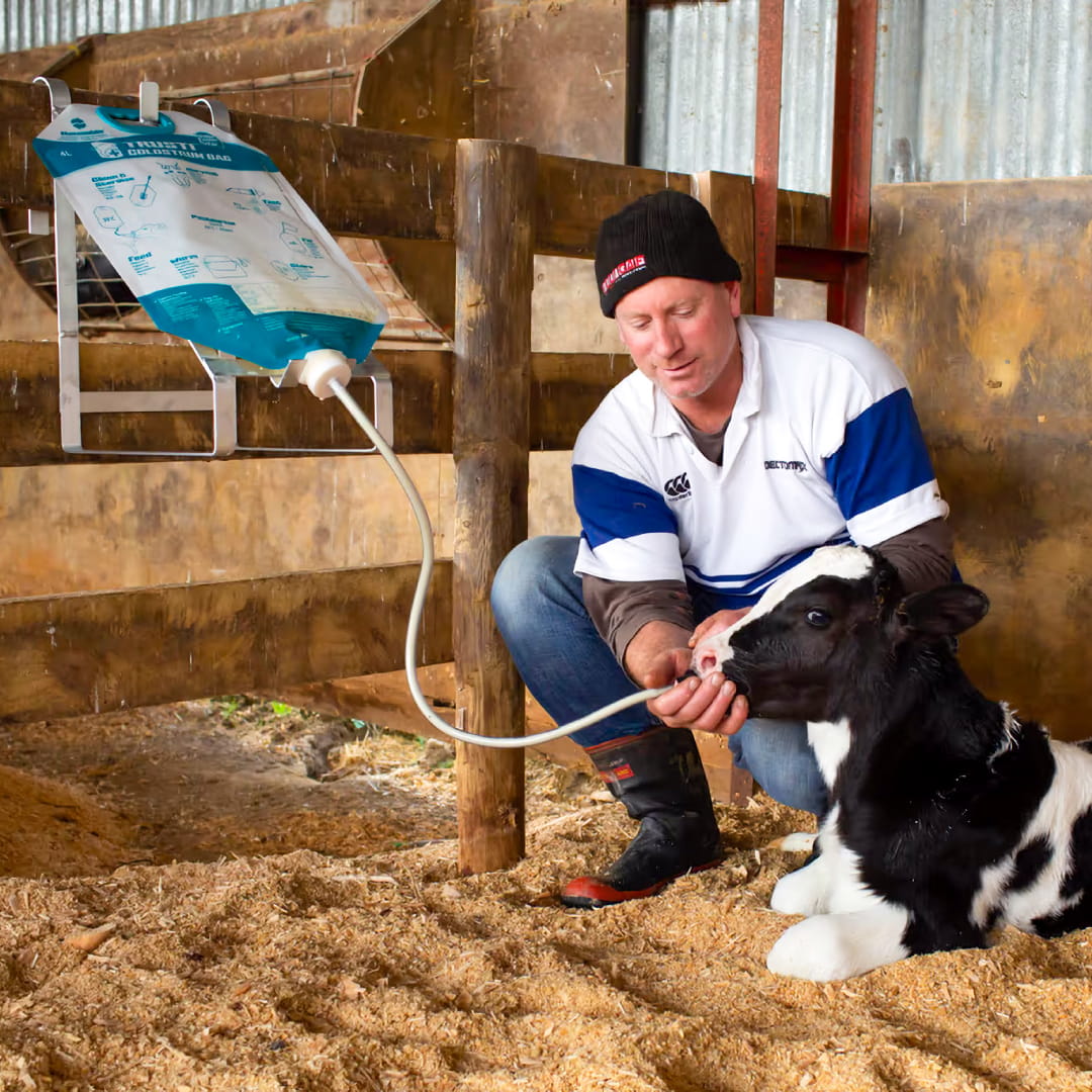 Trusti Colostrum Bags kerbl calves