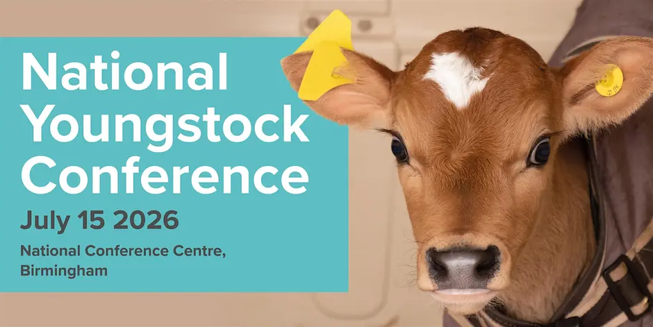 national youngstock conference 2026 intershape key takeaways