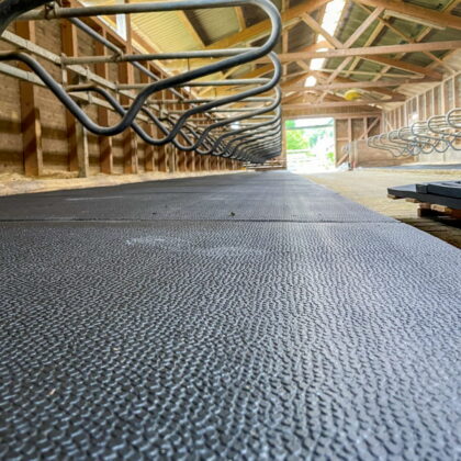 Animat 3 Rubber Mat