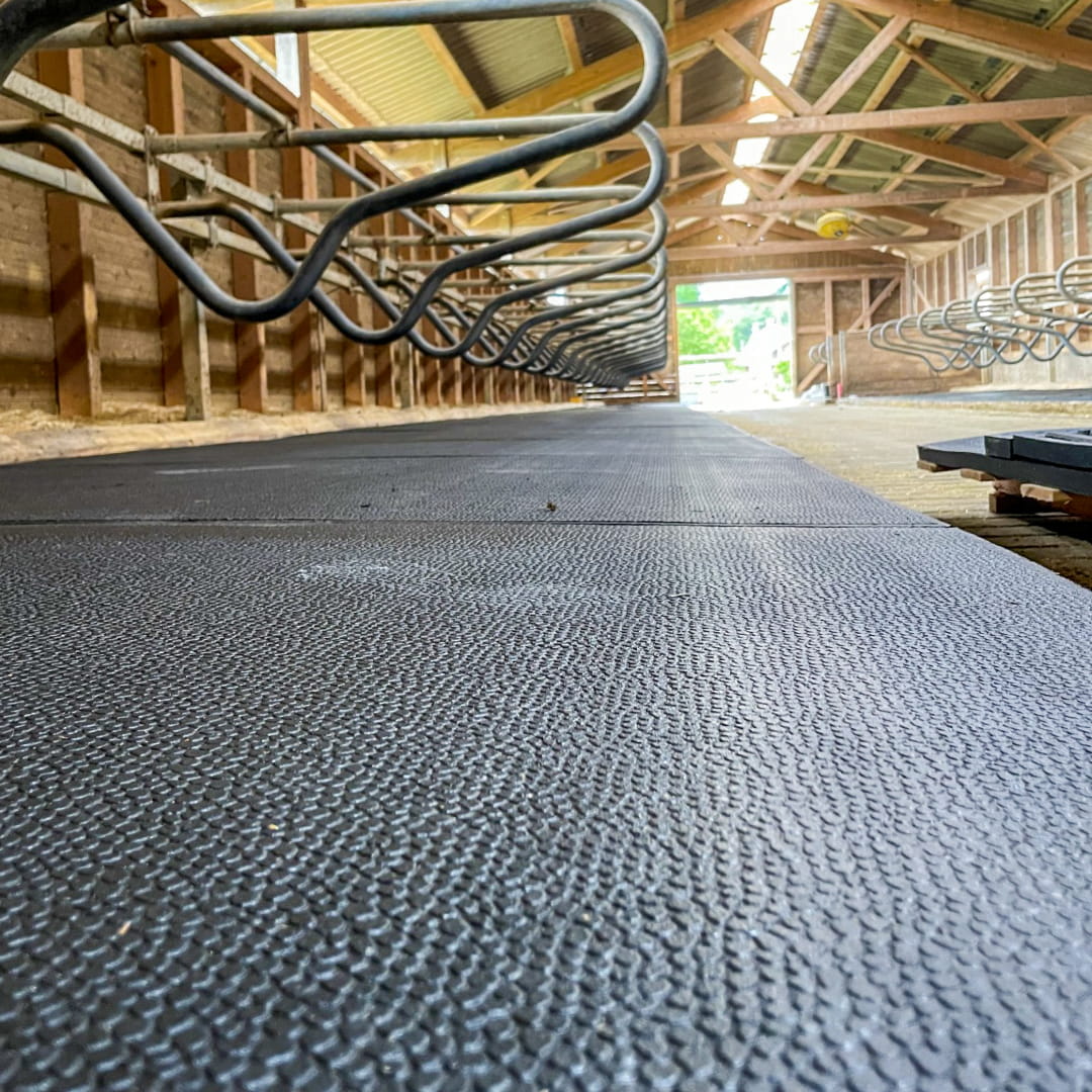Animat 3 Rubber Mat