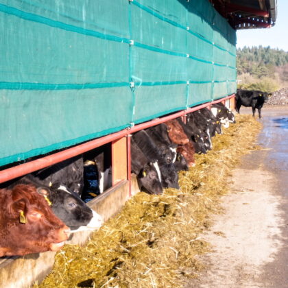 Barn Bayscreens