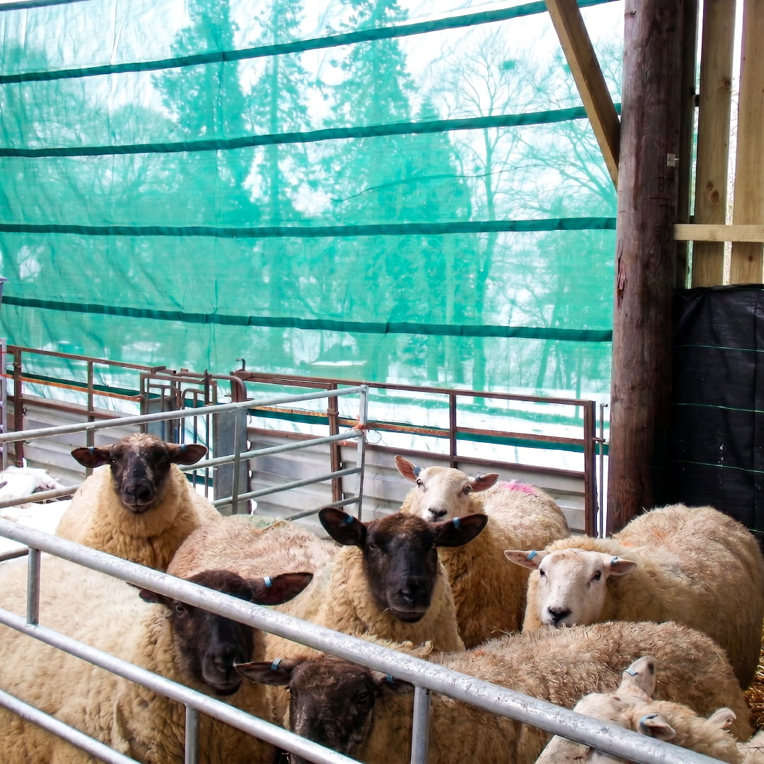 intershape Barn Fence covers
