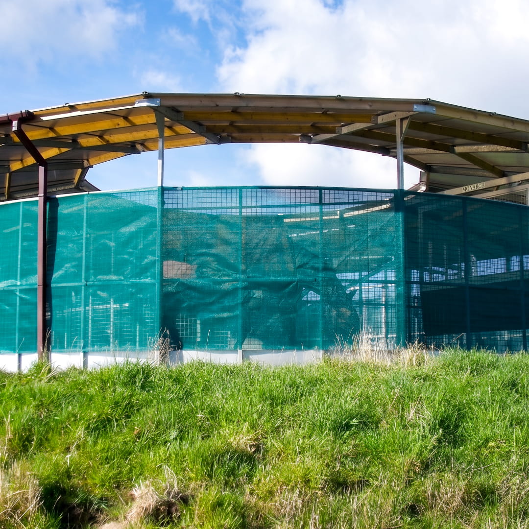 Horses Fence cover Galebreaker Bayscreens Intershape