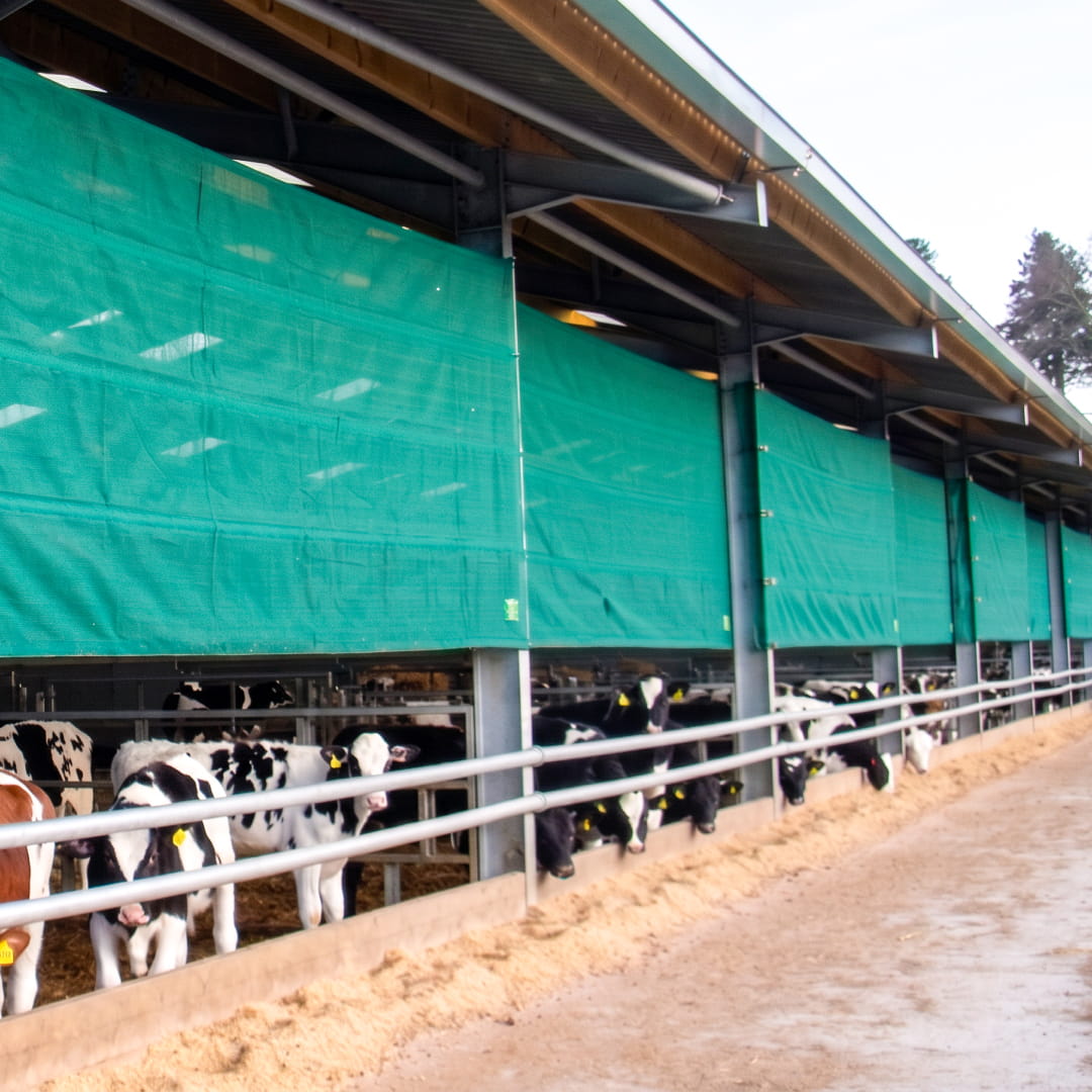 Fence cover Galebreaker Bayscreens