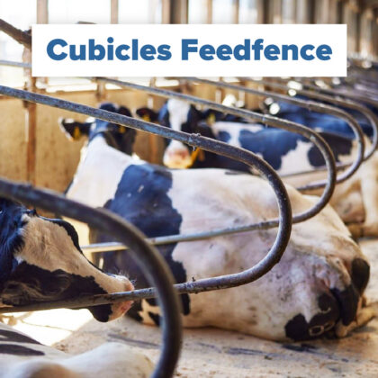 cubicles feedfence