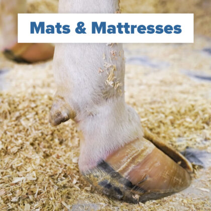 mats mattresses