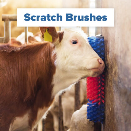 scratch brushes