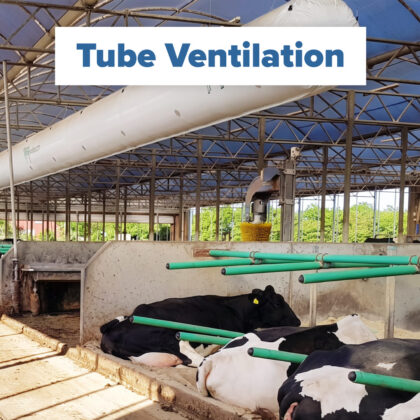 Intershape tube ventilation cow welfare