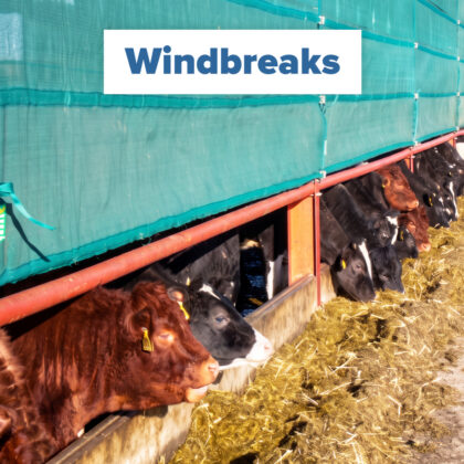 windbreaks