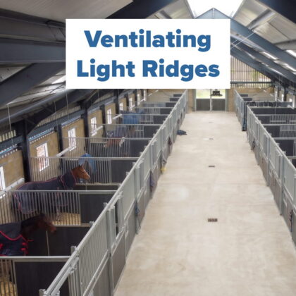 horses ventilating light ridge