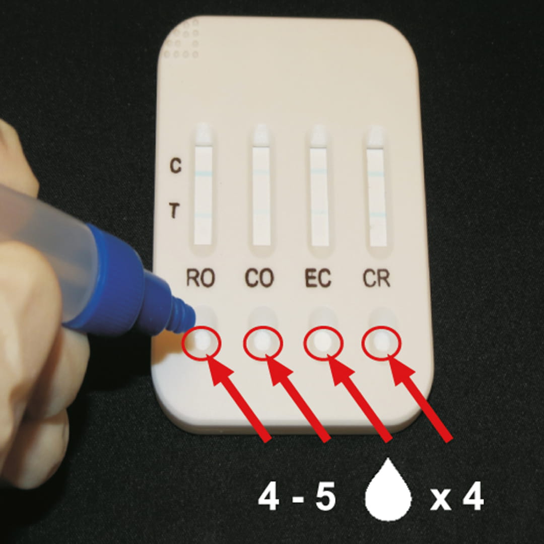 Kerbl Calf Scour Kits