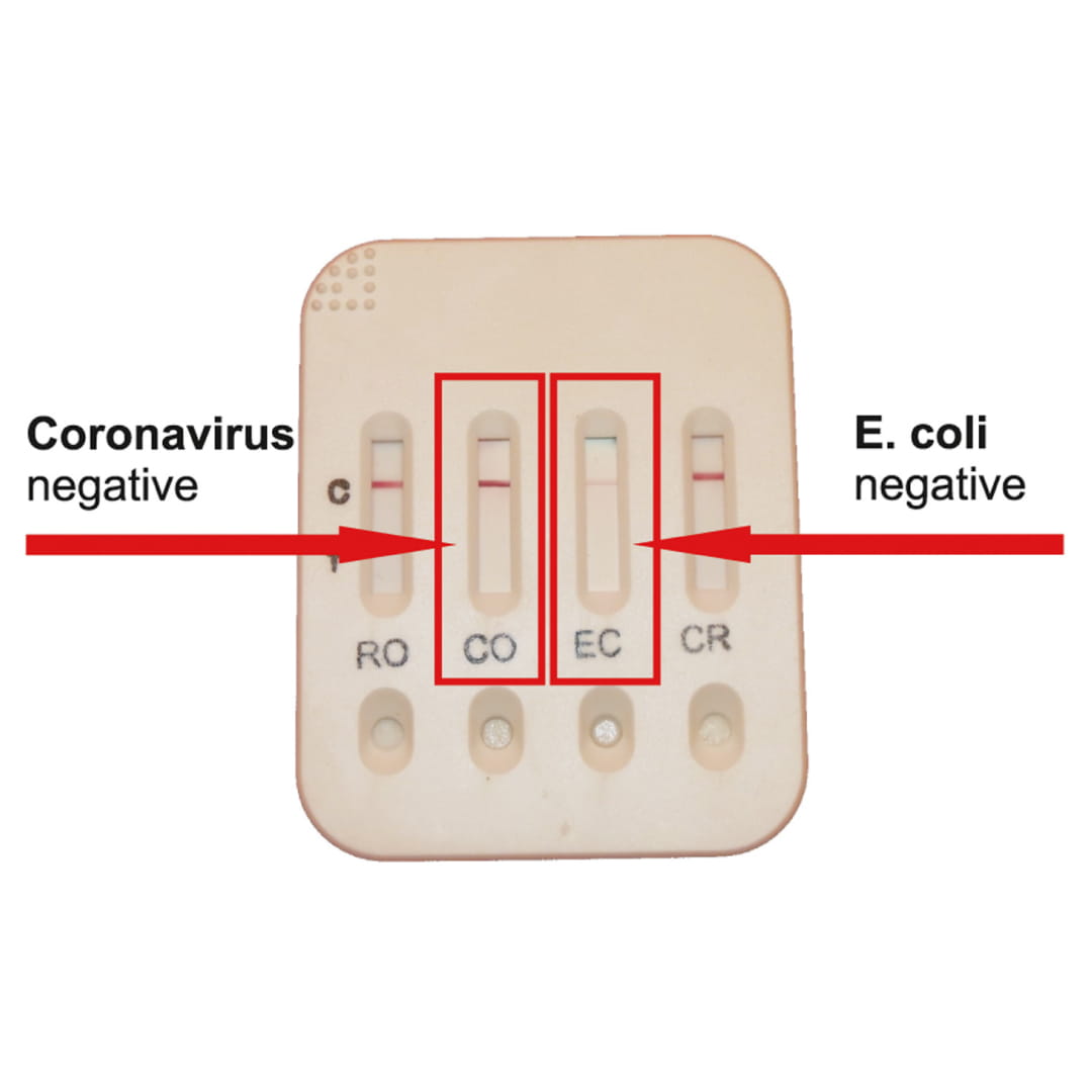 Calf Scour Kits test