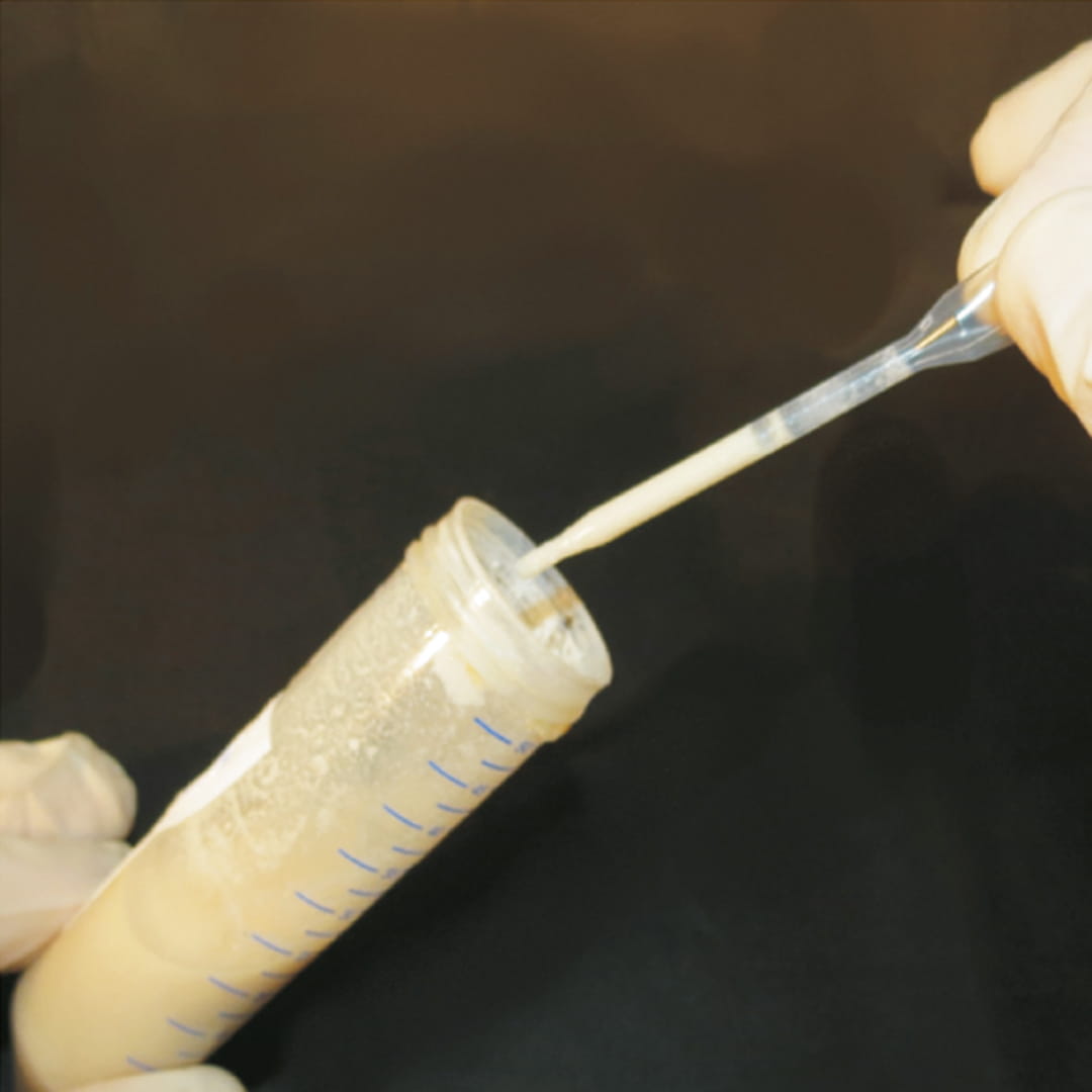 livestock Calf Scour Kits