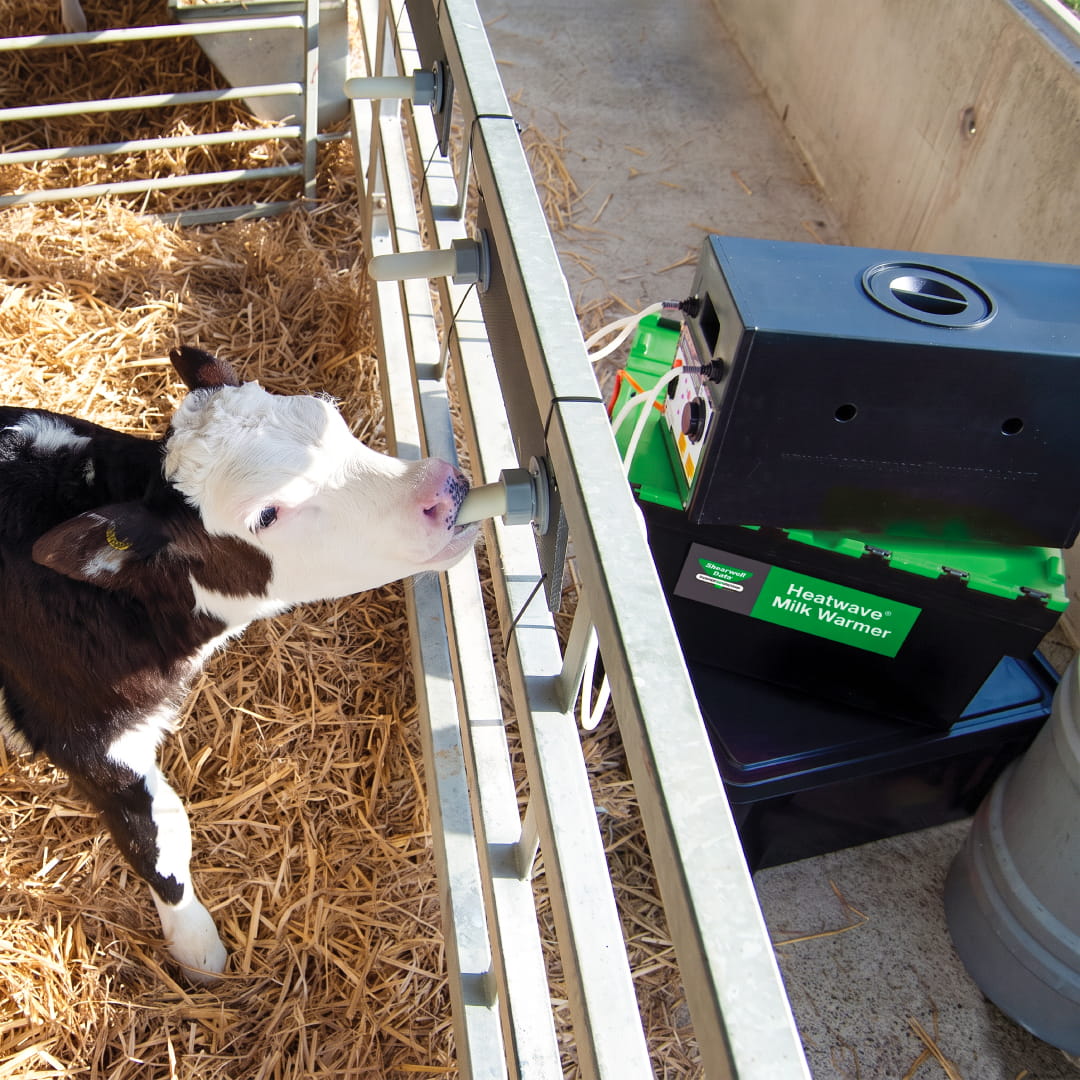 livestock intershape Shearwell Heatwave