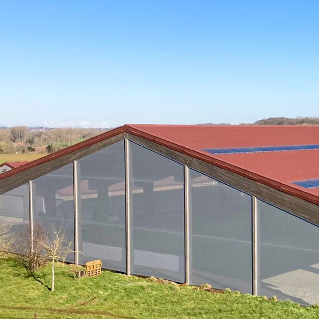 nets vervaeke intershape