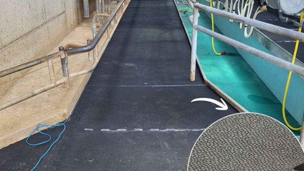 dairy cow milking parlour rubber matting for standing areas