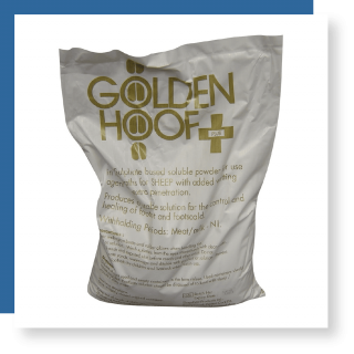 Golden-hoof-zinc-sulphate-plus intershape