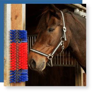 intershape brush equine horse